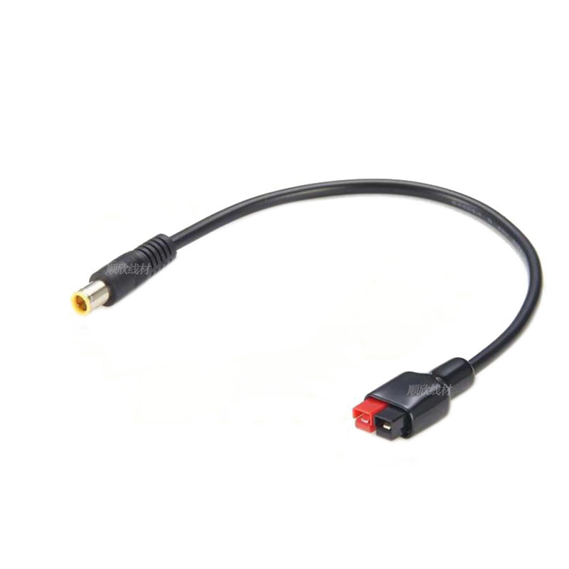 DC7909 macho e fêmea para 30A  - Outdoor Power Extension Cord avaliação e preço